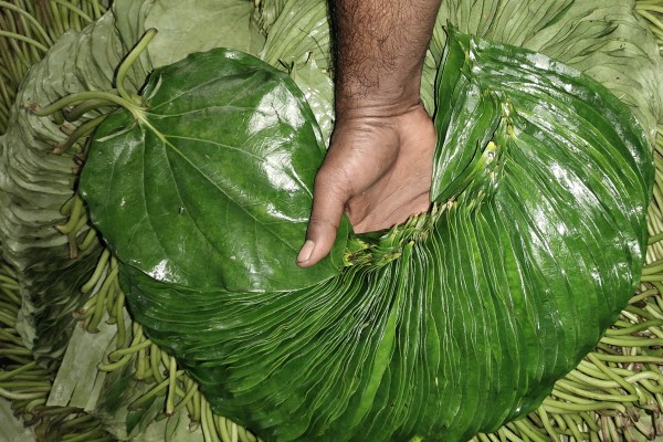 Betel Bazaar India